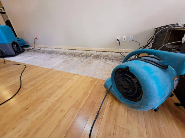 Professional Structural Drying technician working in Rockland, WI